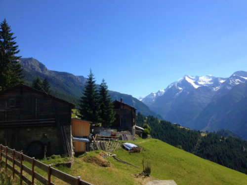 #24 Grächen im Sommer Matterhorn