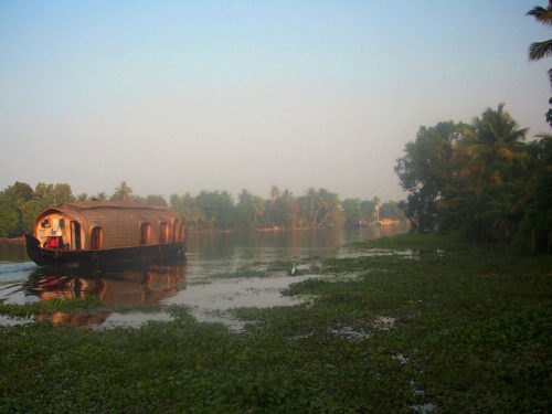#403 Kerala Backwaters